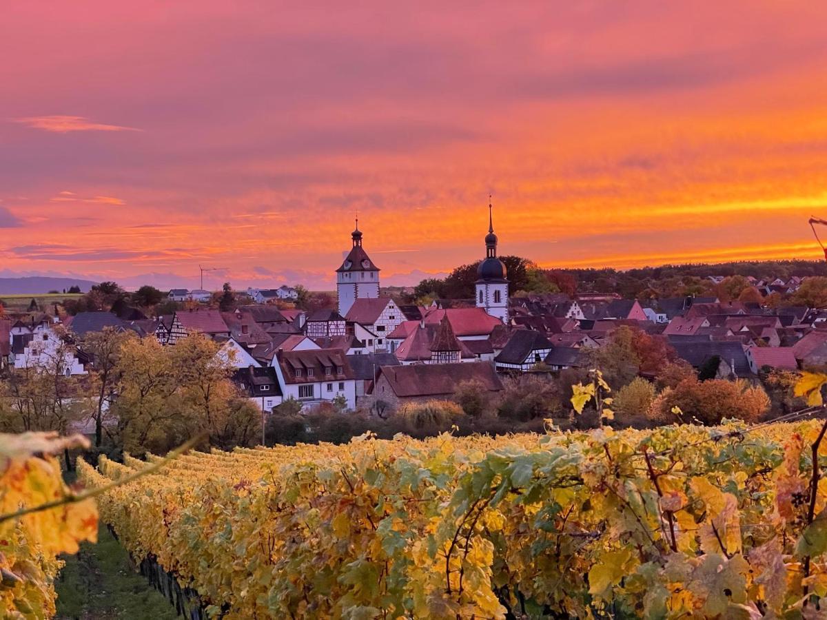Gasthof Zum Storch Prichsenstadt Exteriér fotografie