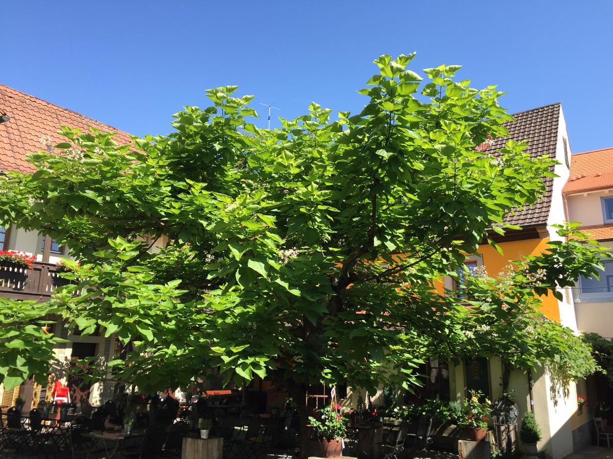 Gasthof Zum Storch Prichsenstadt Exteriér fotografie